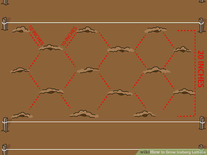 Step 8