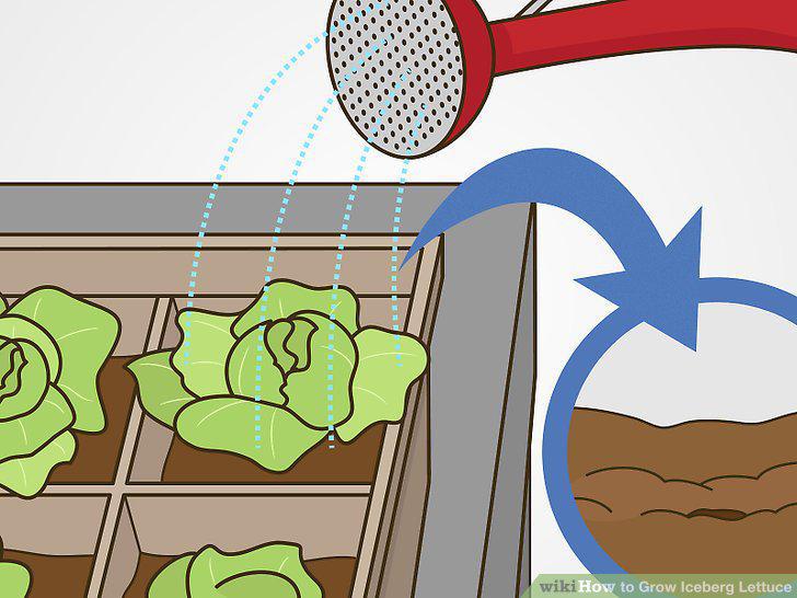 Step 10