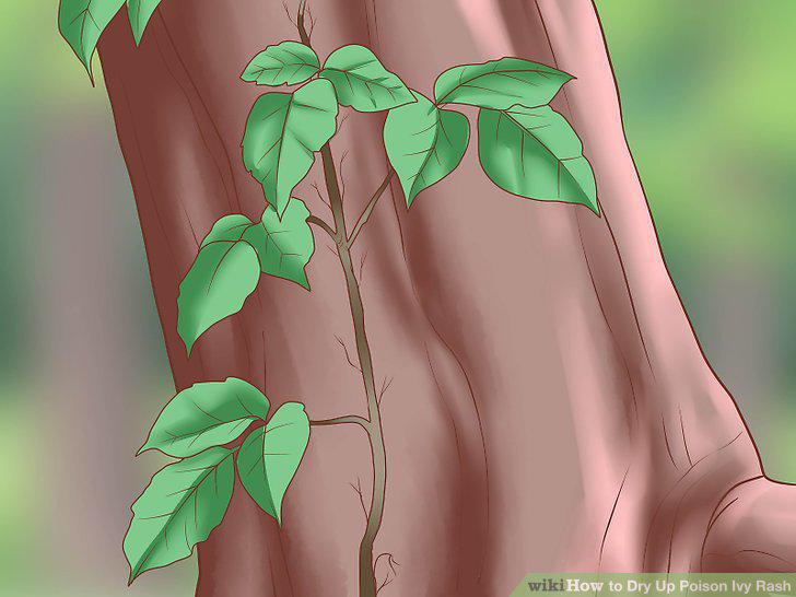 Step 11