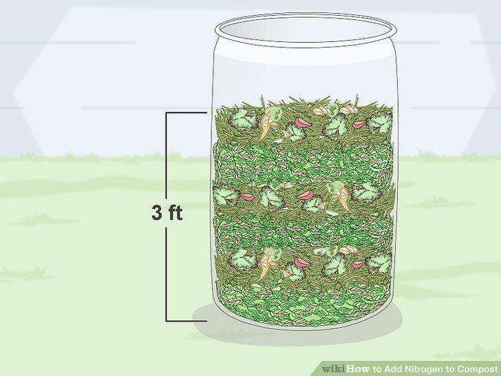 Step 12