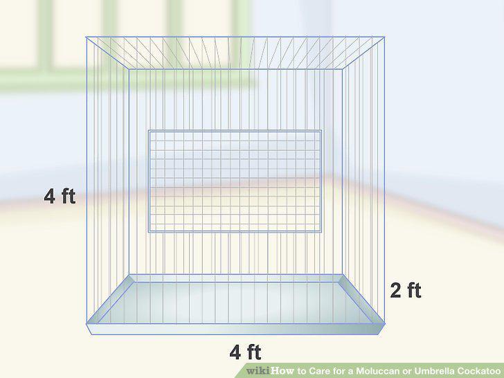 Step 2