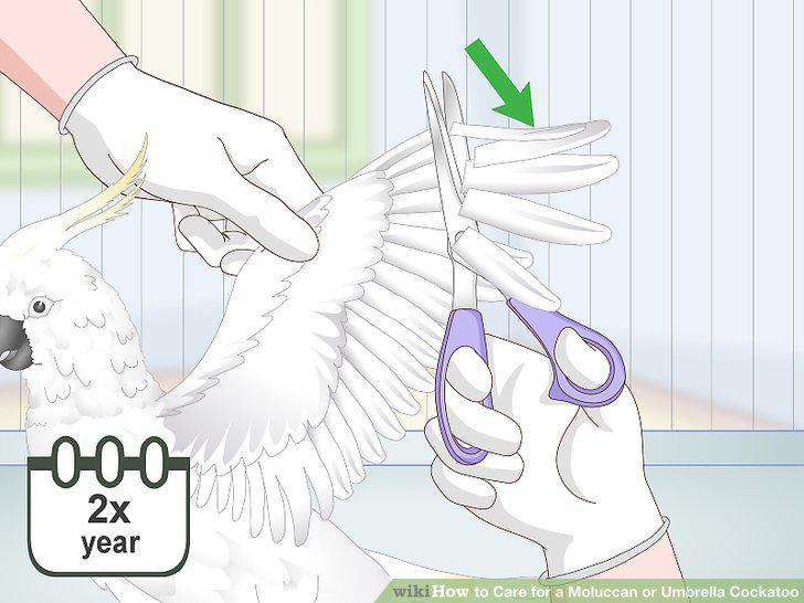 Step 13