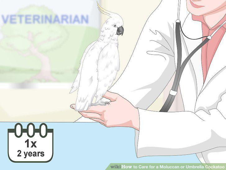 Step 14