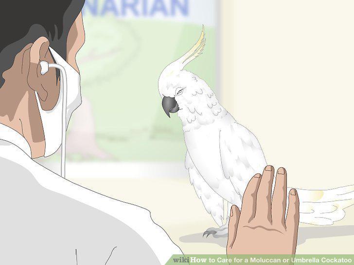 Step 15