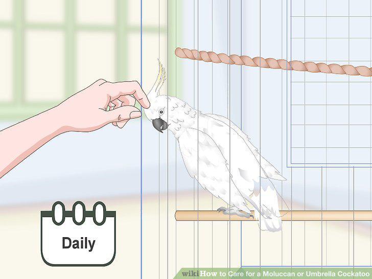 Step 16