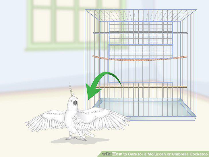 Step 18