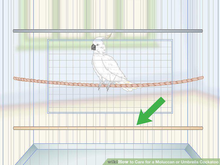 Step 3