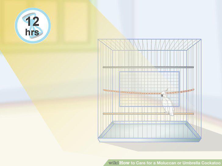 Step 4