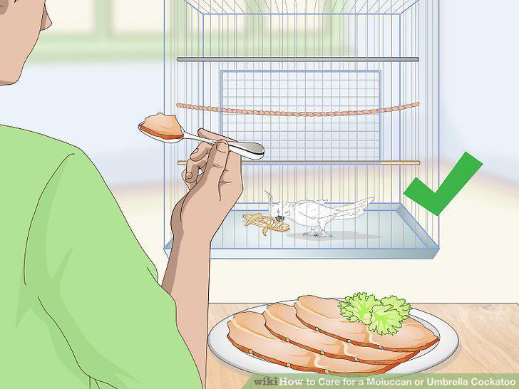 Step 5
