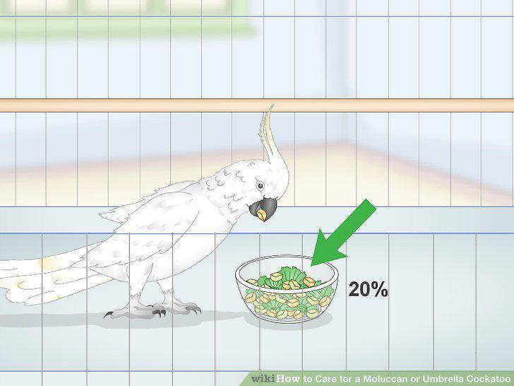 Step 7
