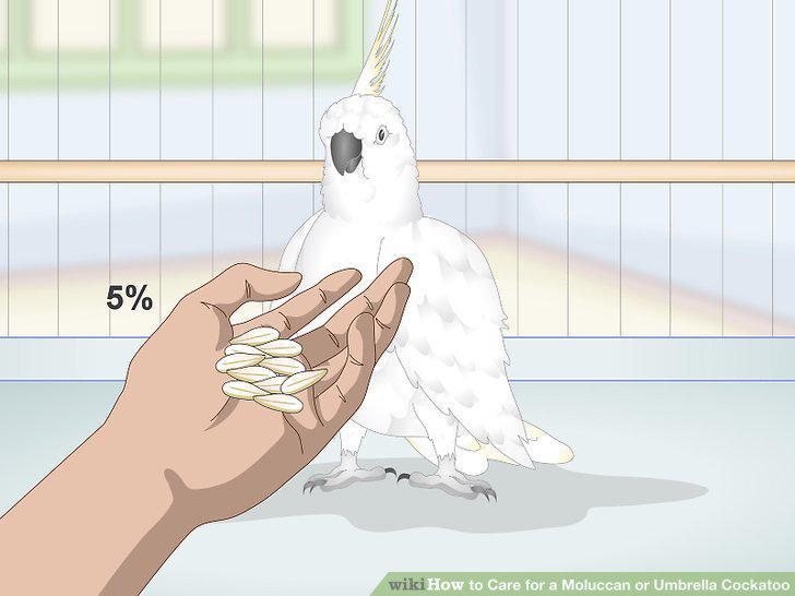 Step 8