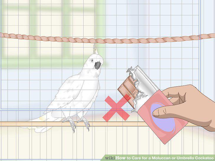 Step 9