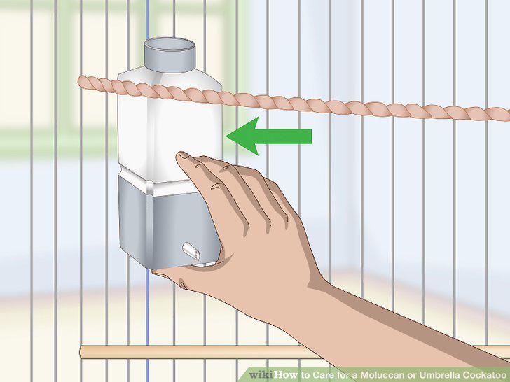Step 10