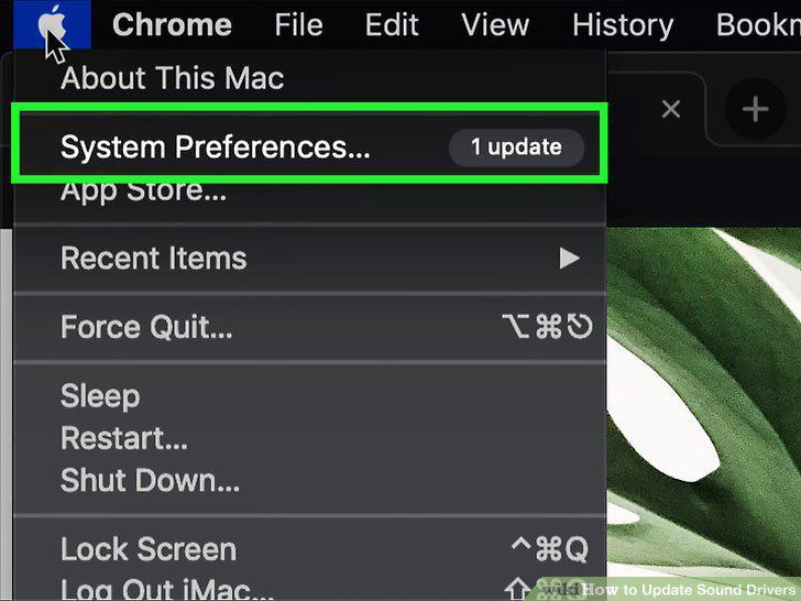 Step 15