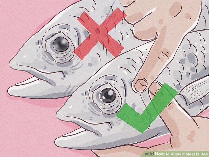 Step 11