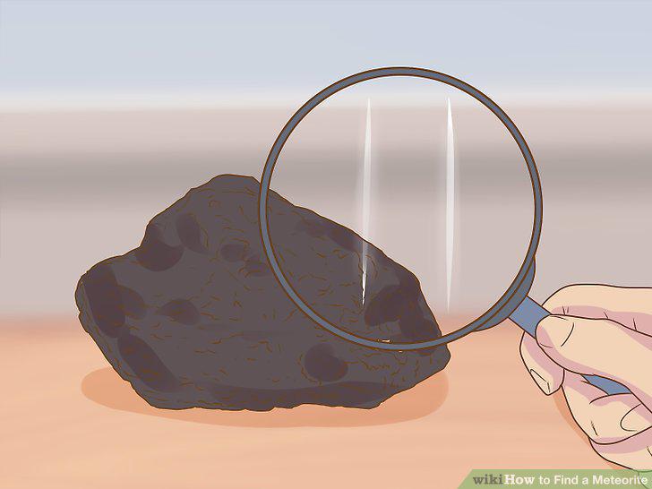 Step 10