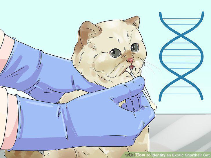 Step 13