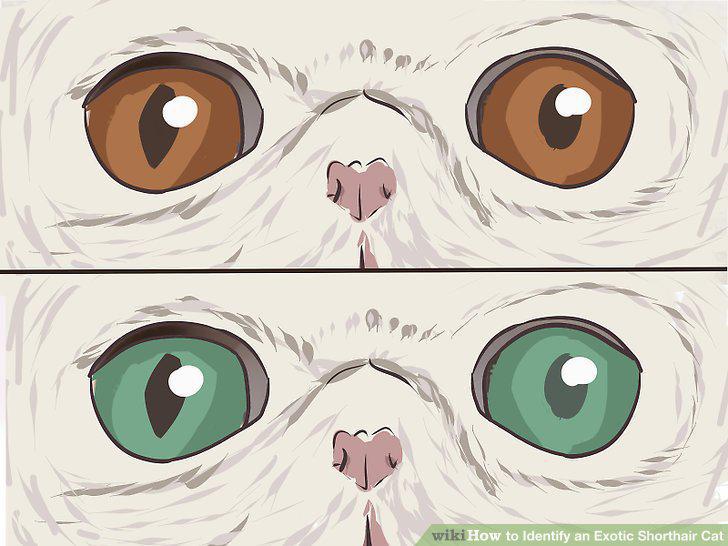 Step 3
