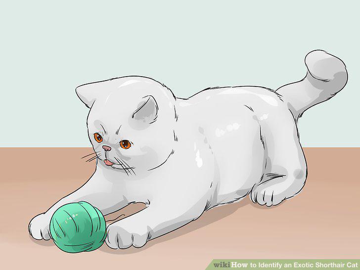Step 9