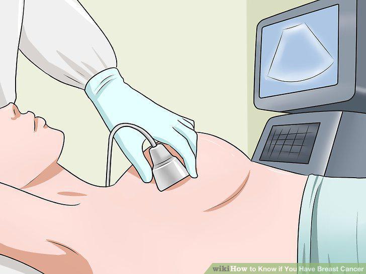 Step 16