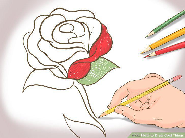Step 7