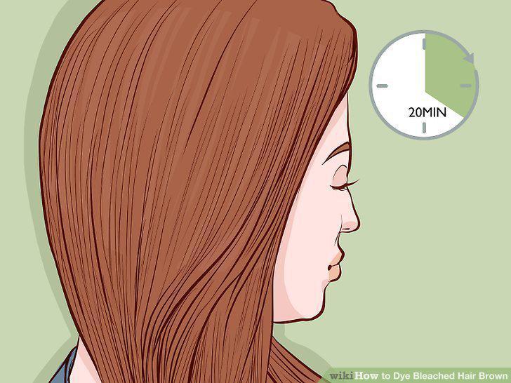 Step 15