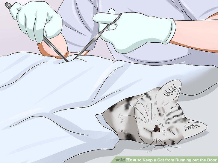 Step 5