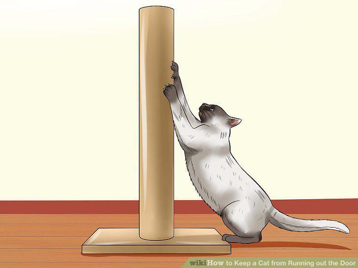 Step 7