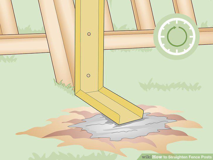 Step 12