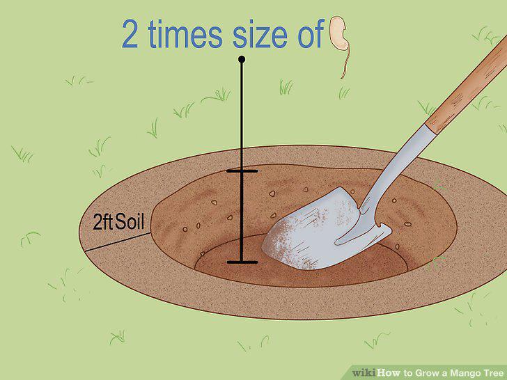 Step 11