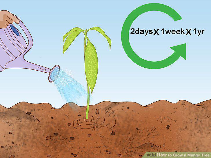 Step 14