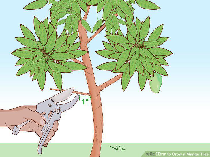 Step 16