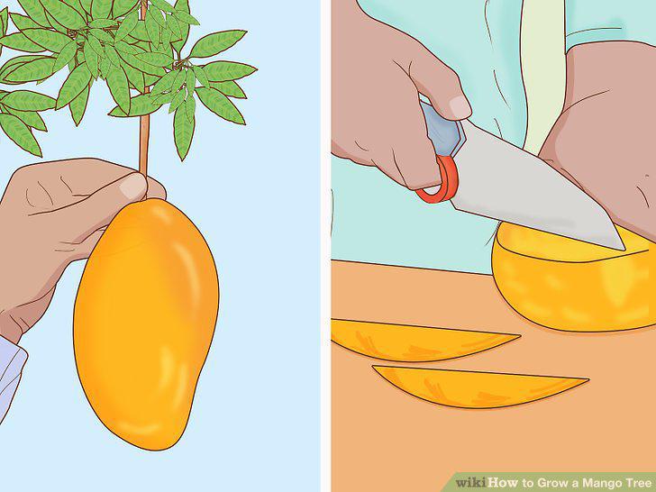 Step 17