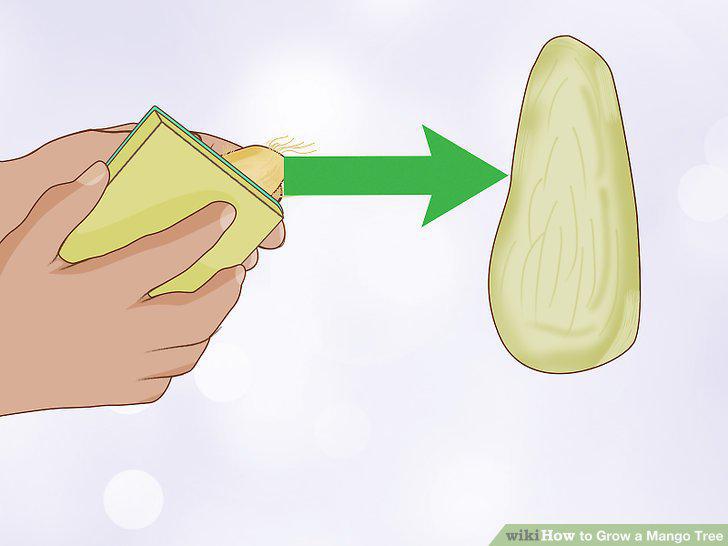 Step 7