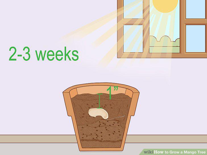 Step 9