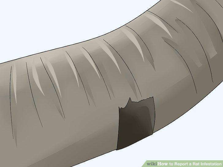 Step 12