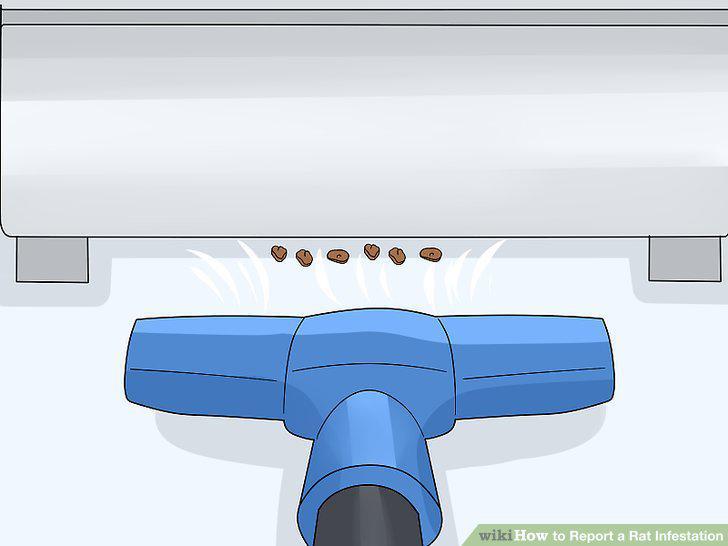 Step 13
