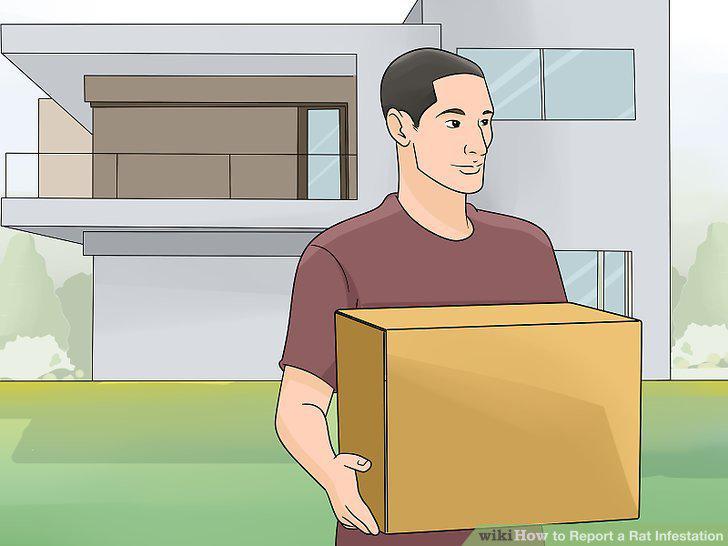 Step 15