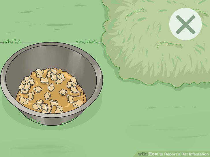 Step 16