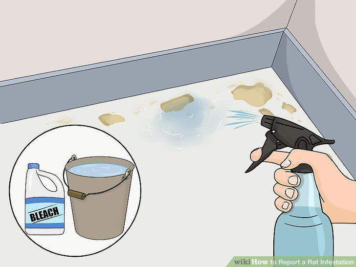 Step 17