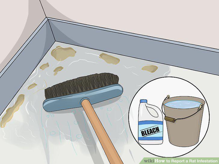 Step 8