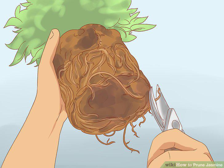 Step 13