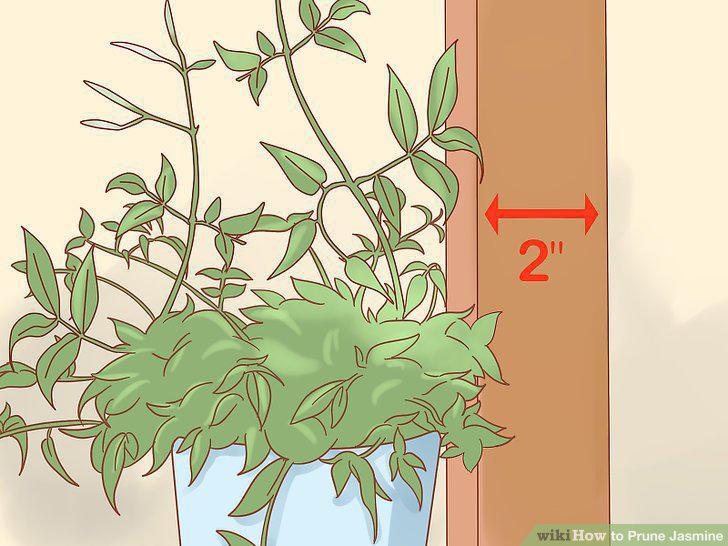 Step 14