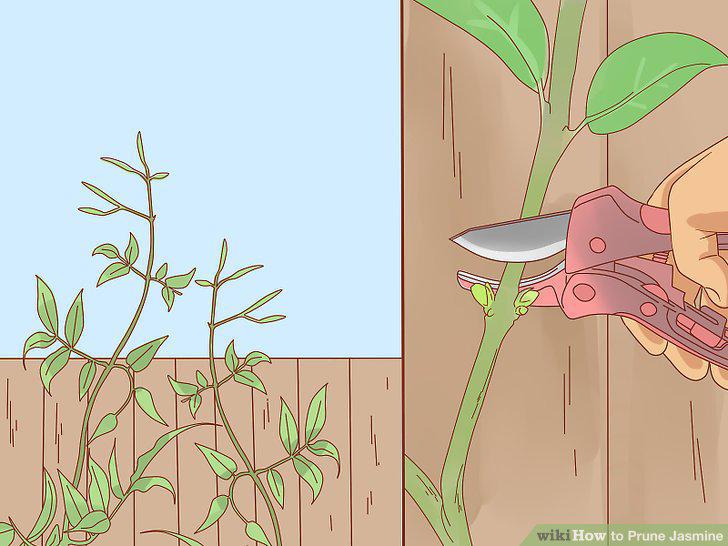 Step 8