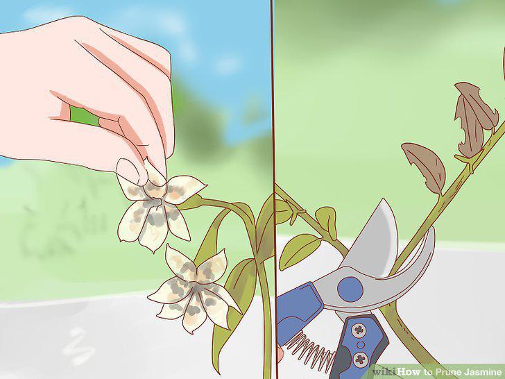Step 10