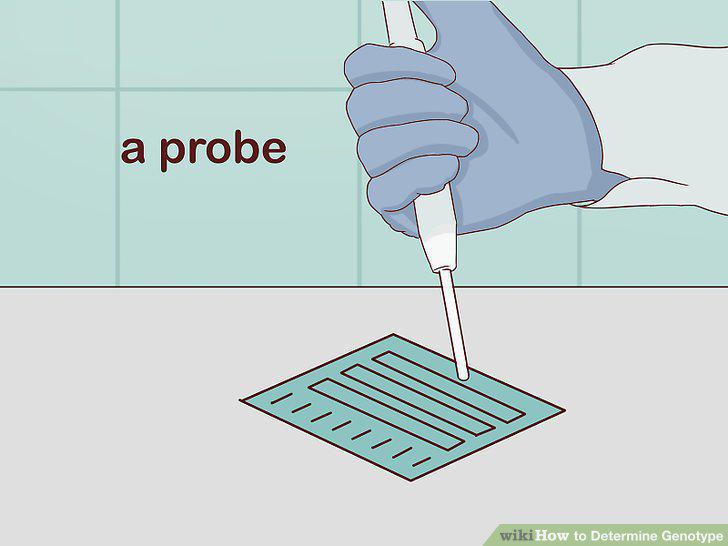 Step 12