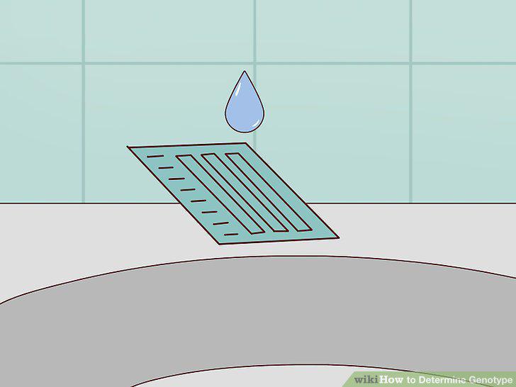 Step 13