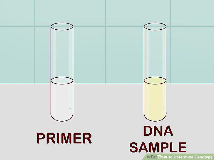 Step 6