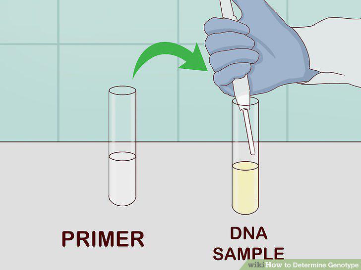 Step 7