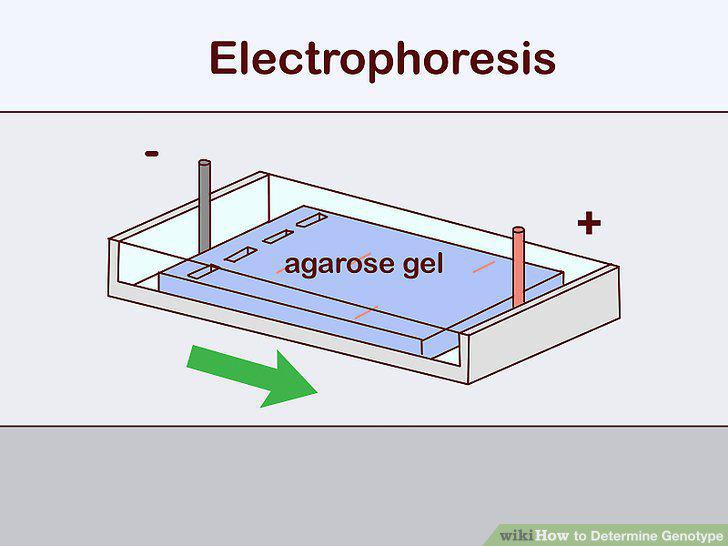 Step 10